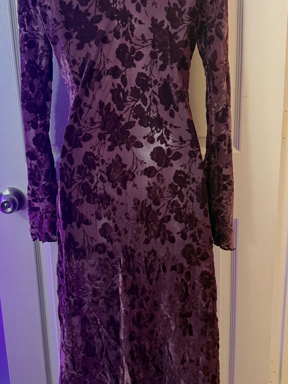Deep Plum Floral sheer Long Sleeve Dress